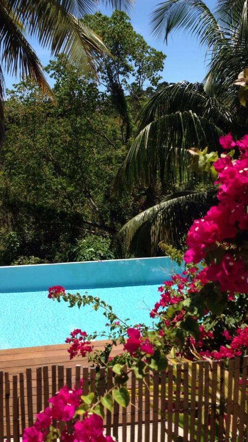 Confortable T1 Le Gosier, Wi-Fi, Piscine Dans Gite Le Gosier  Esterno foto